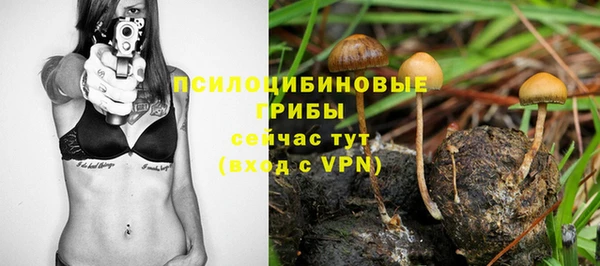 амф Аркадак