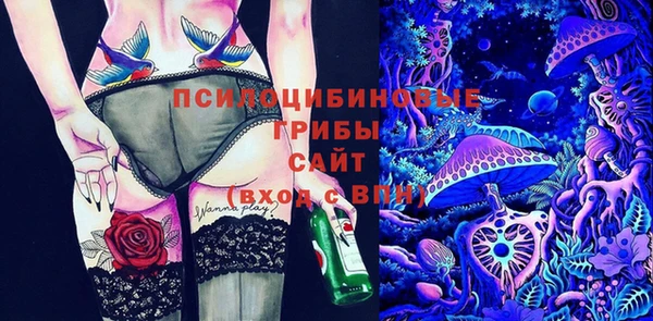 трава Армянск