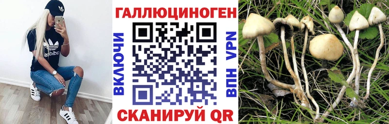 Галлюциногенные грибы прущие грибы наркошоп Пушкино